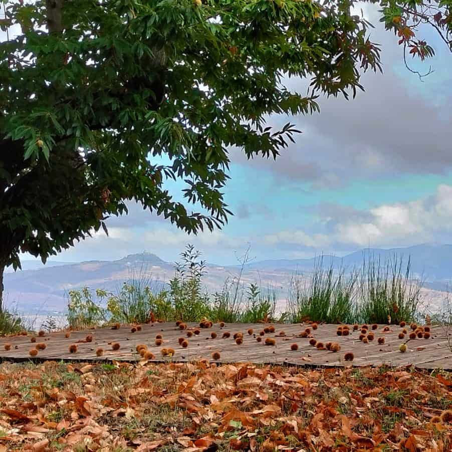 Casale Roccone Retreats Olistici