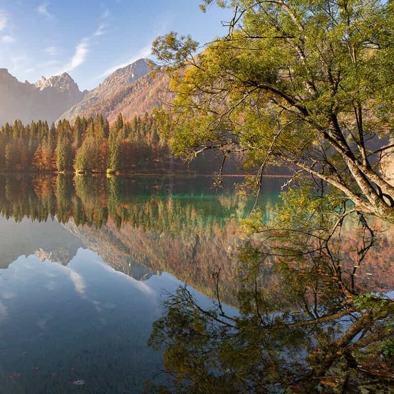 Giulia Telicher NaTUra Forest Bathing