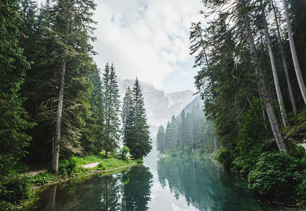 Contatto con la natura