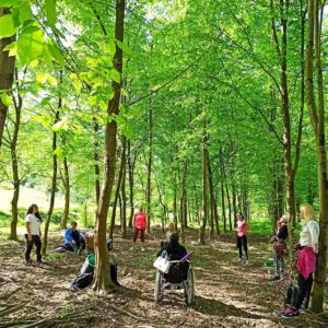 Lisa Luna Zancanaro Forest Bathing